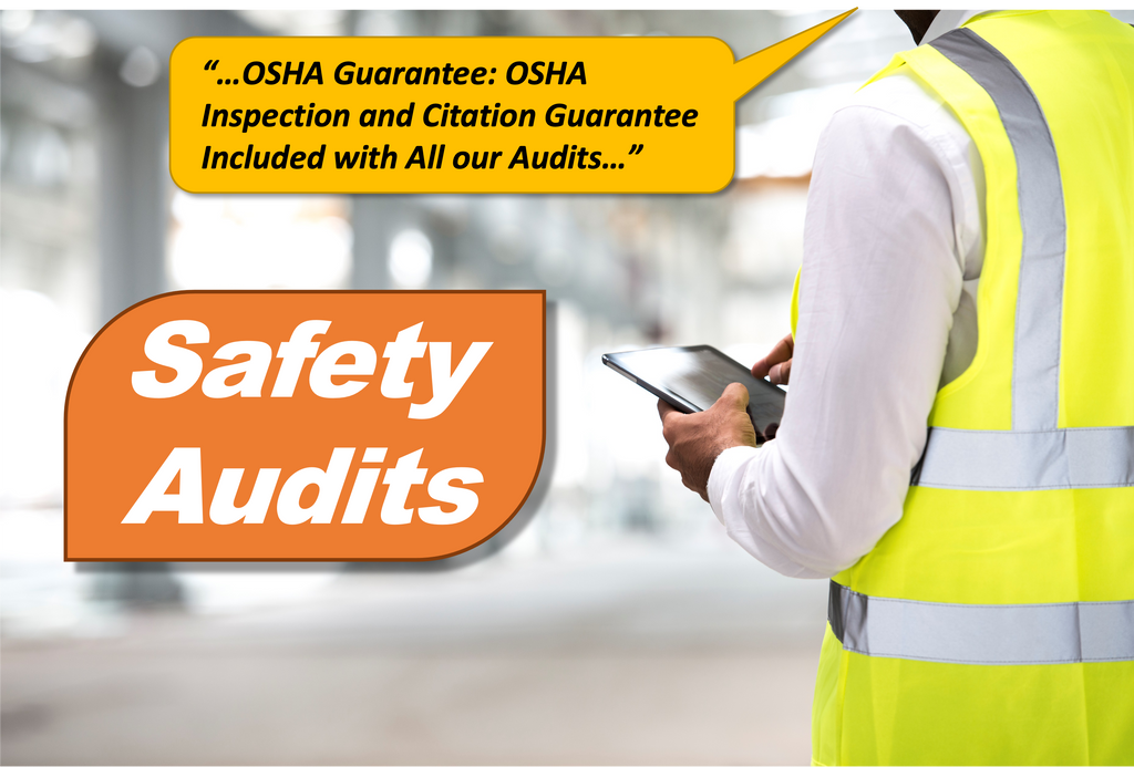 Safety Audit (Onsite) Safety Audit (Onsite)